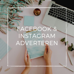 Facebook Instagram Adverteren cursus